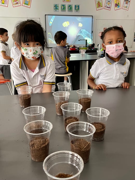 American School Dubai Ignite School Science Lab KG Planting